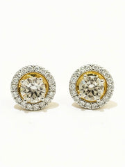 Dream Accord 53 Pointer Lab Diamond Earring | GEMSURE