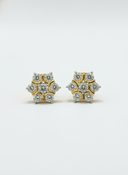 True Mirage Lab Diamond Earring | GEMSURE